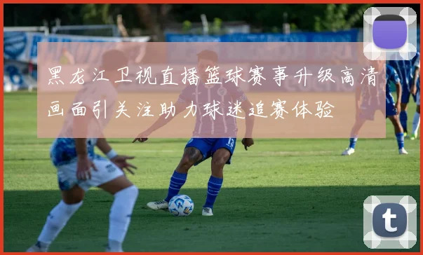 黑龙江卫视直播篮球赛事升级高清画面引关注助力球迷追赛体验