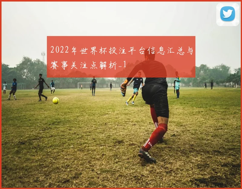 2022年世界杯投注平台信息汇总与赛事关注点解析_1