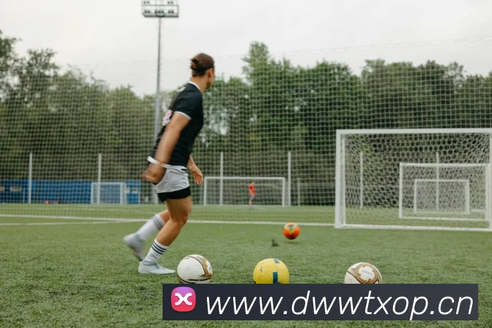 多媒体互动体验